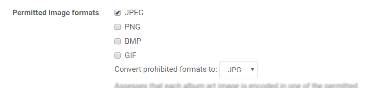 bliss settings showing JPEG as the only permitted format