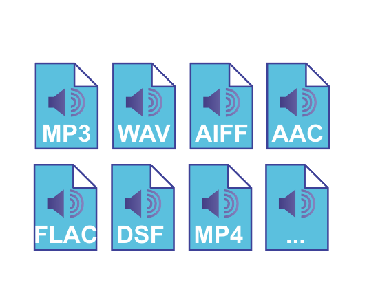 Supports multiple file formats, not just MP3